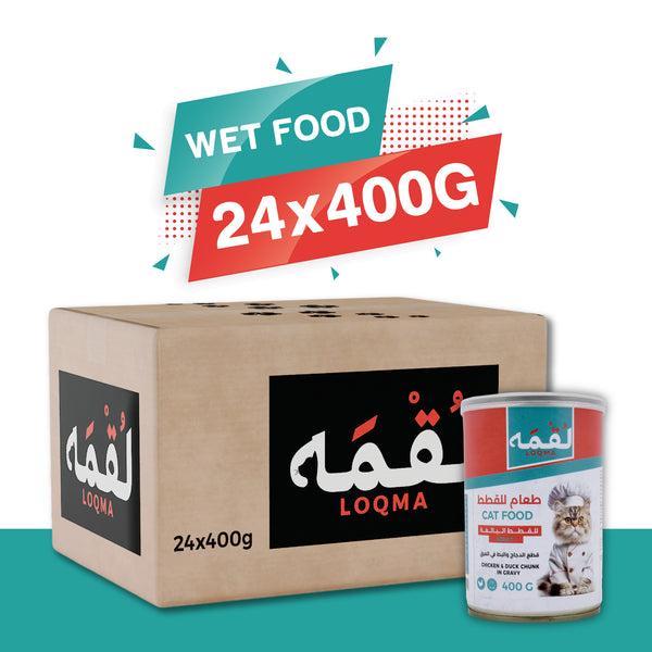 متجر قطط