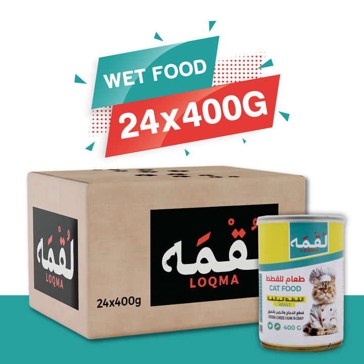 متجر قطط