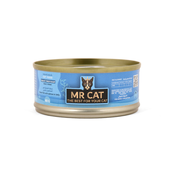 MR CAT Ocean Fish with salmon in Jelly 60g مستر كات سمك المحيط مع السالمون بالجيلي 60 جم