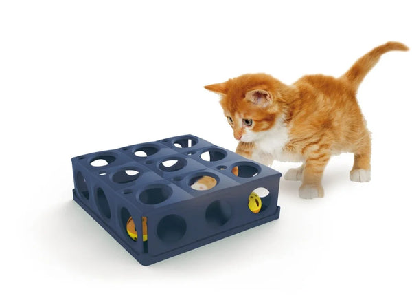 🐾 لعبة قطط مربعة 9×25×25 سم — لعب، تخفي، استرخاء