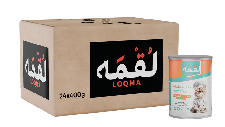 متجر قطط